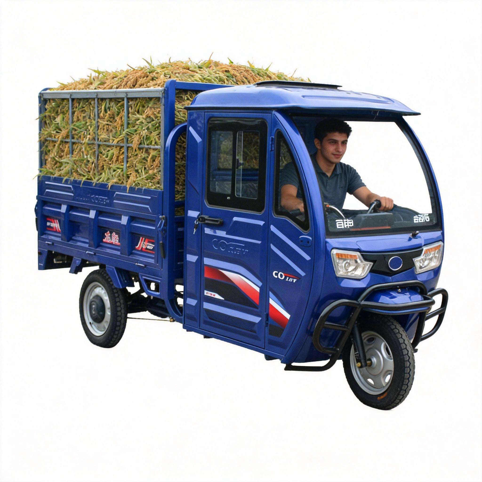 Cargo Vehicle Electric Trike E - Home Improvement Fence review and price