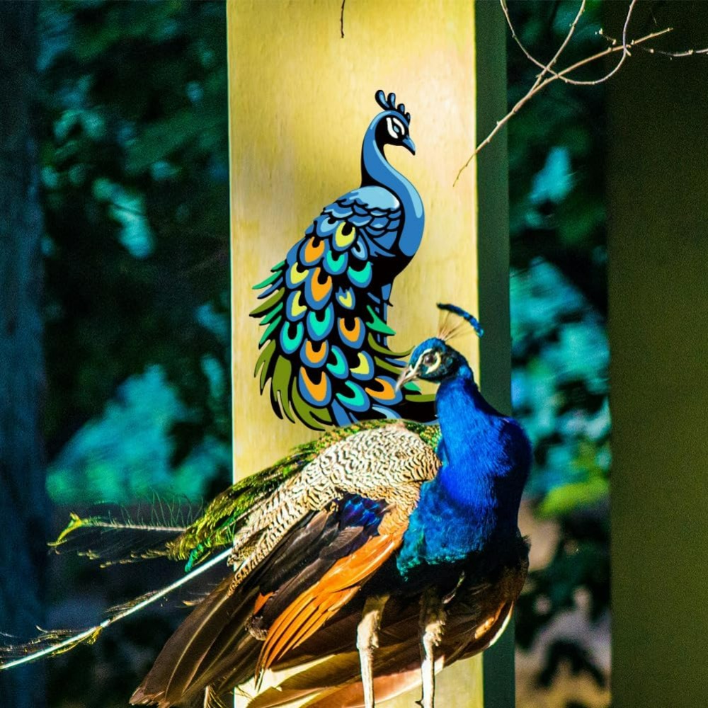 3Pcs Layered Peacock Stencils  - Paint Brush review and price