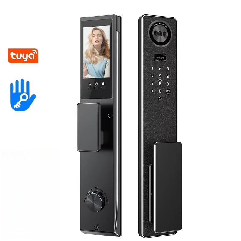 Tuya WiFi Smart Door Lock, Hom - Door Lock review and price
